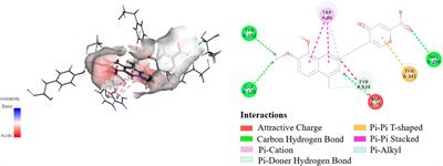 Secoyanhusamine A, an Oxidatively Ring-Opened Isoquinoline Inner Salt From Corydalis yanhusuo